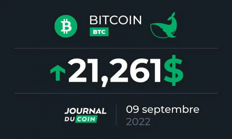Bitcoin September 9, 2022 - God save the crypto