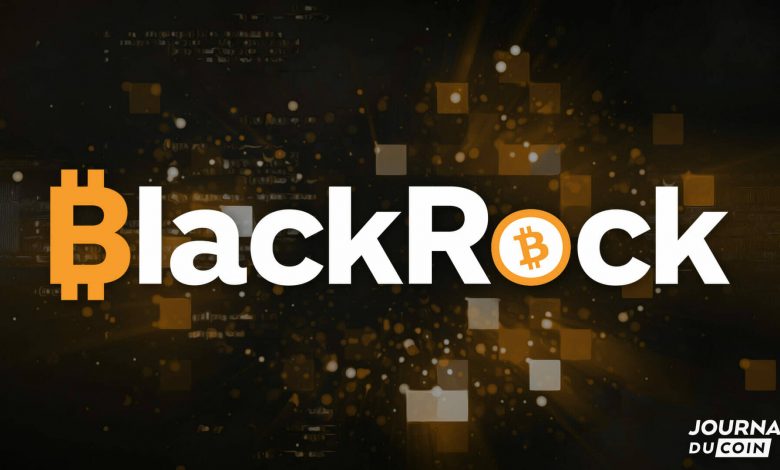 After bitcoin and cryptos, the giant BlackRock is attacking the metaverse