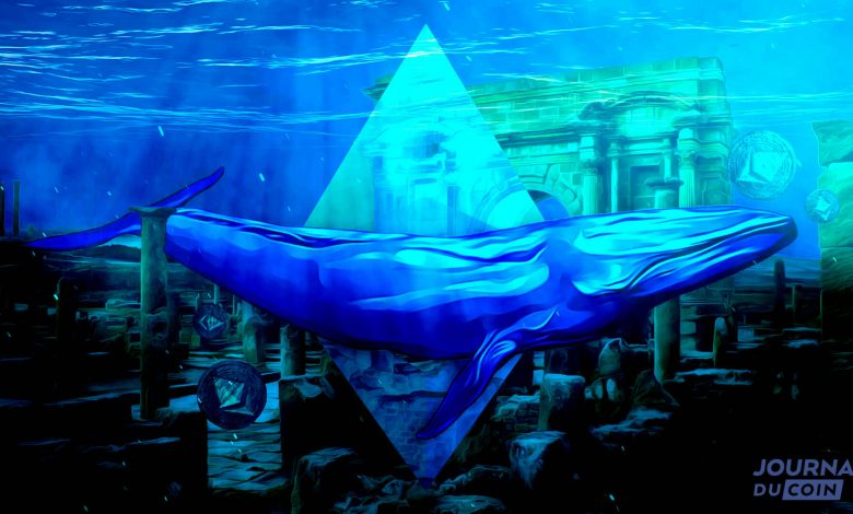 After The Merge, the wealthy whales of Ethereum go on the attack