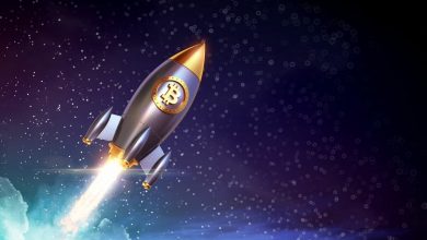 Bitcoin and cryptos: always a winning bet for institutions