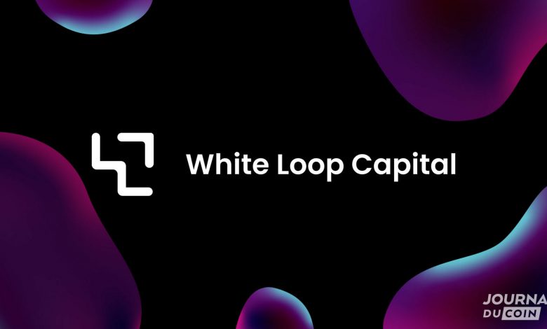 White Loop Capital, surf the new wave of crypto investments